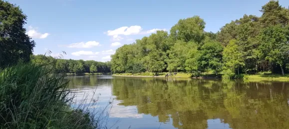 3 bedrooms House in Emsland, Germany No. 299826 6