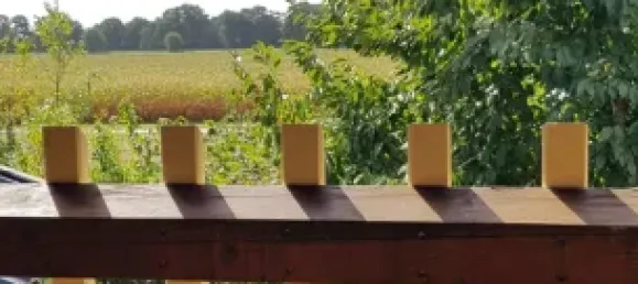 3 bedrooms House in Emsland, Germany No. 299826 7