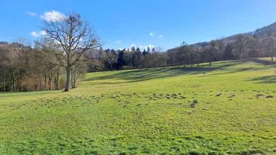  قطعة أرض في Purgstall an der Erlauf, Austria رقم 42034