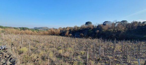  قطعة أرض في Belpasso, Italy 20000متر مربع رقم 132175 16