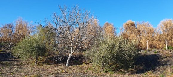  قطعة أرض في Belpasso, Italy 20000متر مربع رقم 132175 10