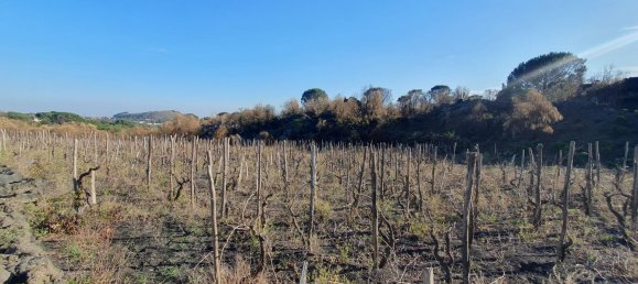  قطعة أرض في Belpasso, Italy 20000متر مربع رقم 132175 6