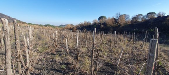  قطعة أرض في Belpasso, Italy 20000متر مربع رقم 132175 4