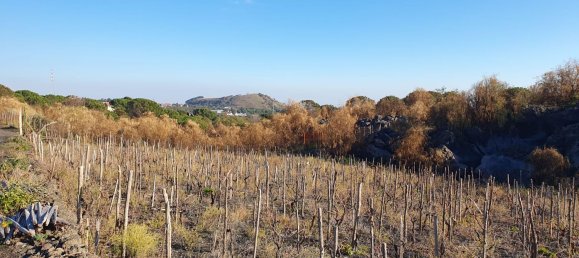  قطعة أرض في Belpasso, Italy 20000متر مربع رقم 132175 5