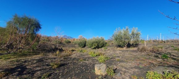  قطعة أرض في Belpasso, Italy 20000متر مربع رقم 132175 17