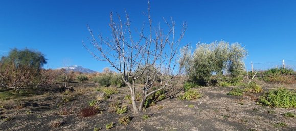  قطعة أرض في Belpasso, Italy 20000متر مربع رقم 132175 11