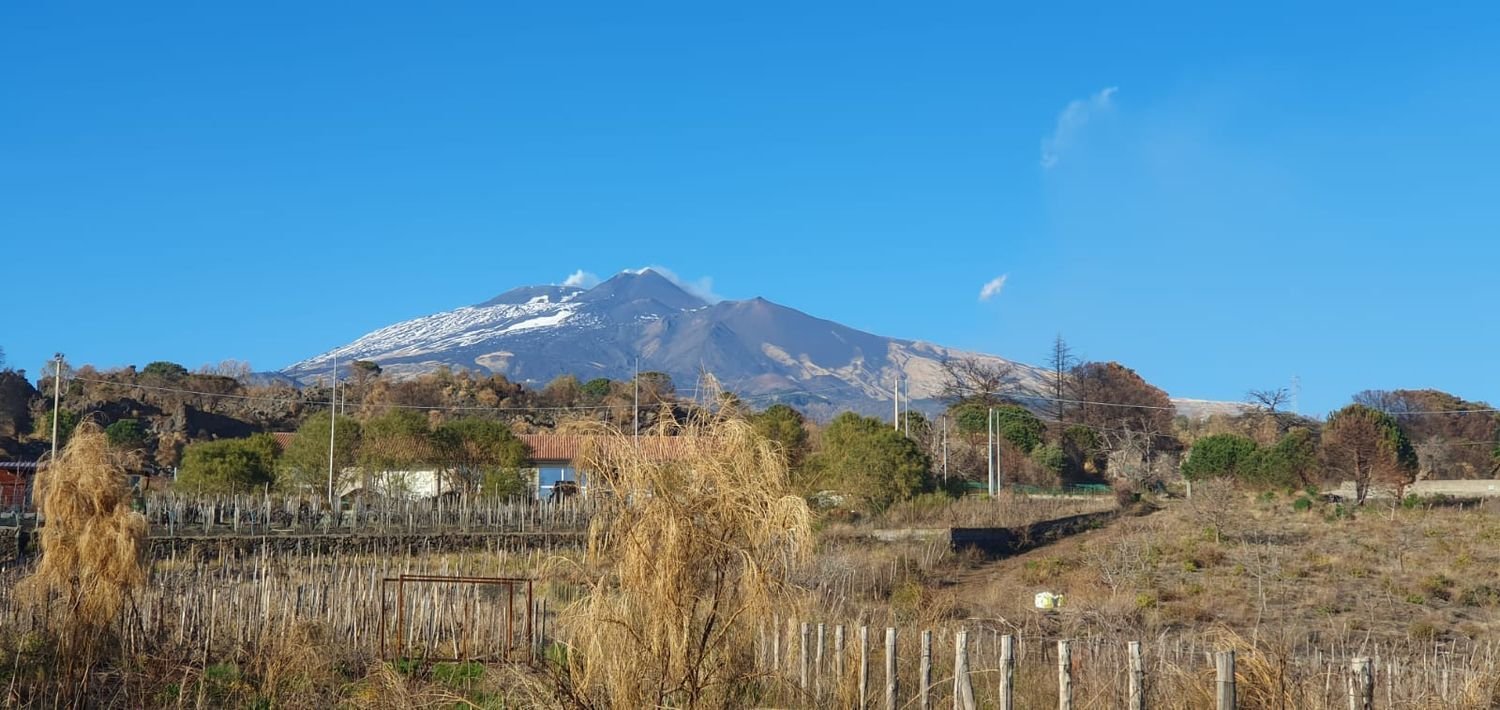  قطعة أرض في Belpasso, Italy 20000متر مربع رقم 132175