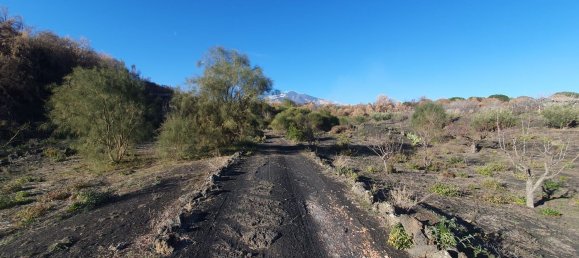  قطعة أرض في Belpasso, Italy 20000متر مربع رقم 132175 8