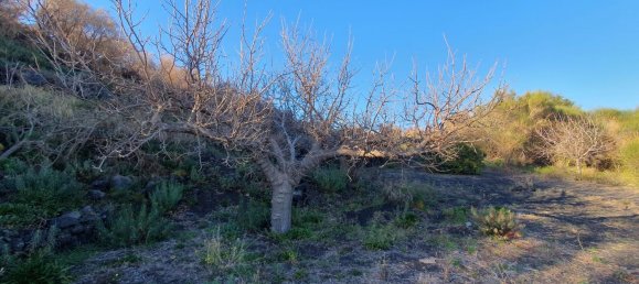  قطعة أرض في Belpasso, Italy 20000متر مربع رقم 132175 7