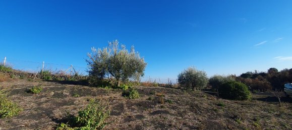  قطعة أرض في Belpasso, Italy 20000متر مربع رقم 132175 12