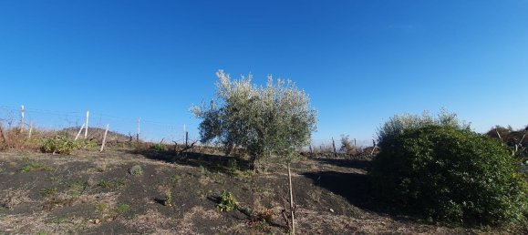  قطعة أرض في Belpasso, Italy 20000متر مربع رقم 132175 14