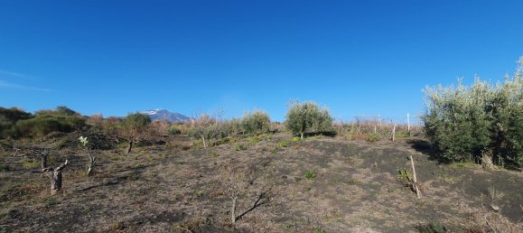  قطعة أرض في Belpasso, Italy 20000متر مربع رقم 132175 15