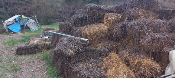 Terrain à Torrevecchia Teatina, Italy 7000m² No. 94071 5