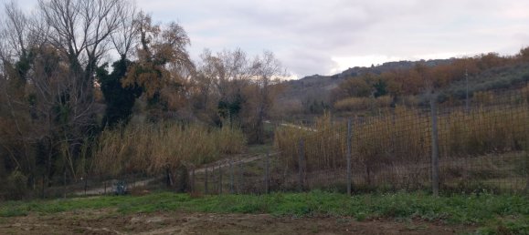 Terrain à Torrevecchia Teatina, Italy 7000m² No. 94071 3