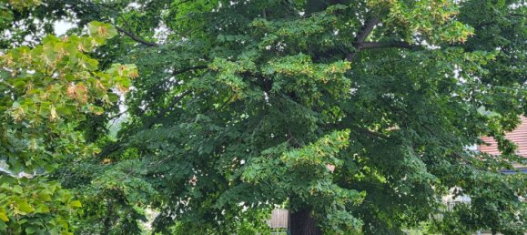 Apartamento T1 em Radebeul, Germany N.º 67079 11