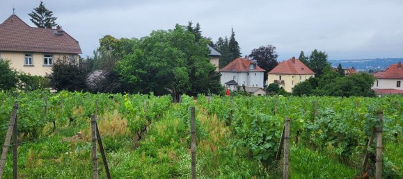 Apartamento T1 em Radebeul, Germany N.º 67079 3