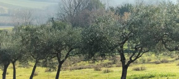 Terreno en Chiaravalle, Italy 1355 m² No. 64359 3