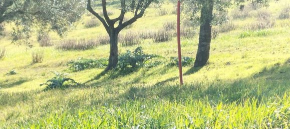 Terreno en Chiaravalle, Italy 1355 m² No. 64359 4