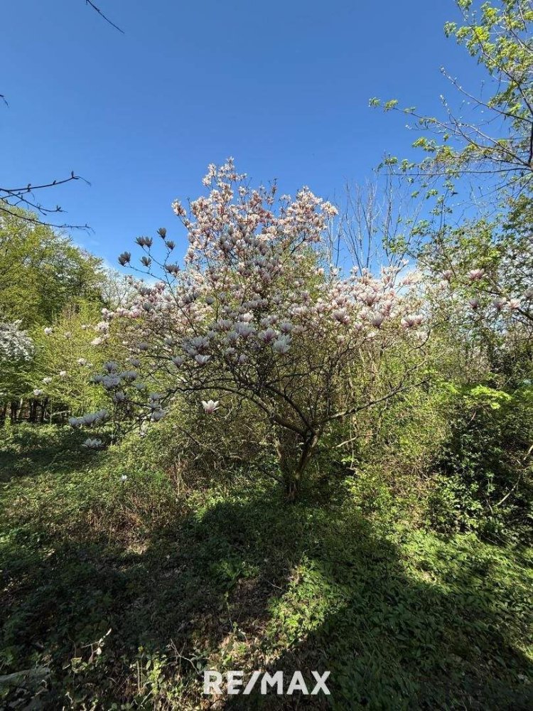  قطعة أرض في Hernals, Austria رقم 238977