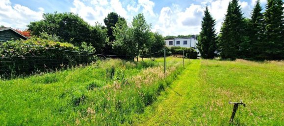  Land in Ammerland, Germany No. 178834 6