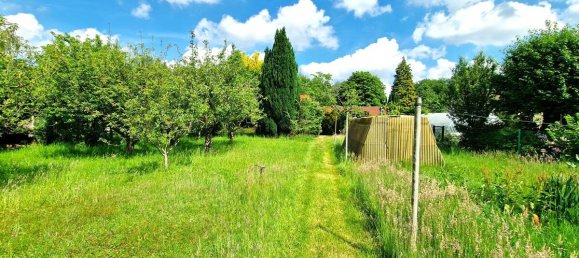  Land in Ammerland, Germany No. 178834 4