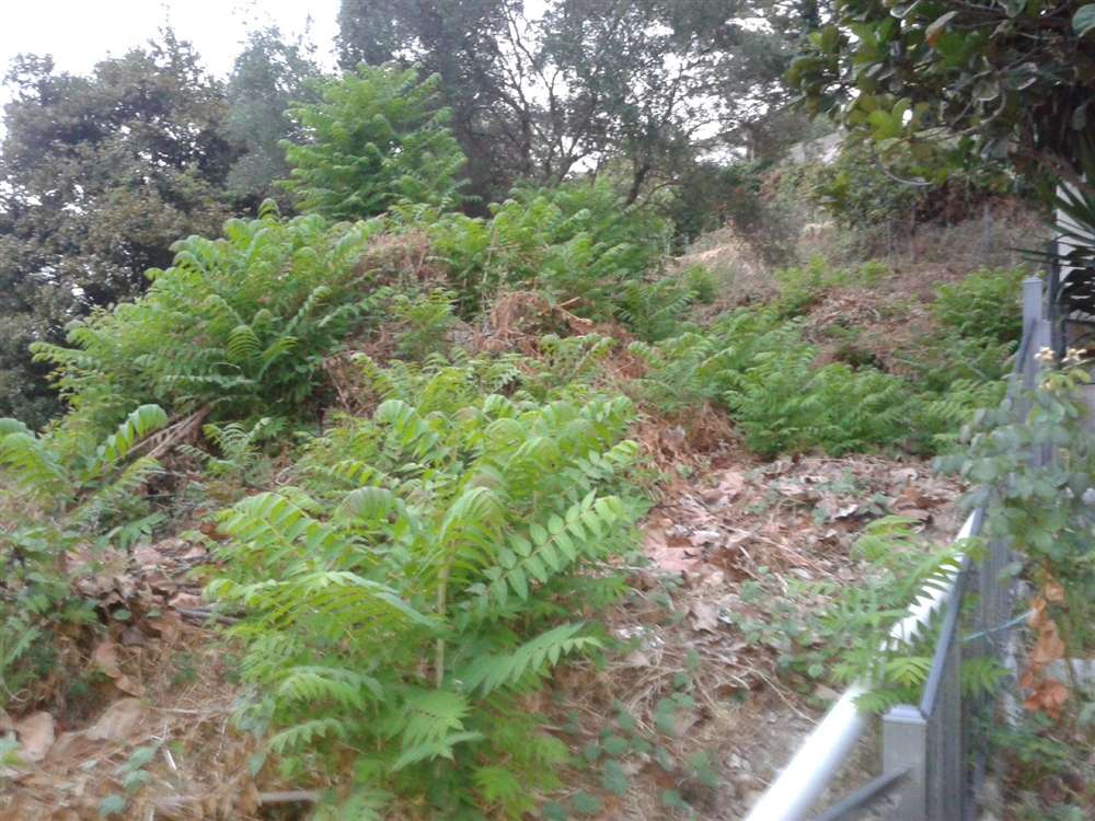 Hotel in Zakynthos, Greece, Nr. 789