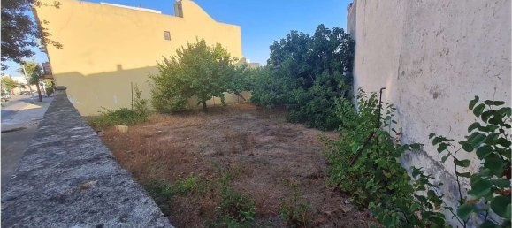 Land in Collepasso, Italy No. 349149 7