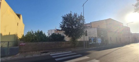 Land in Collepasso, Italy No. 349149 4