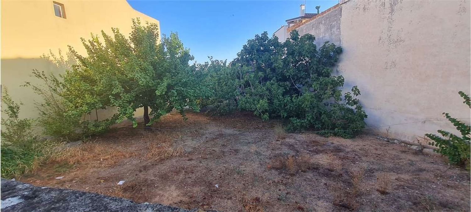  Land in Collepasso, Italy No. 349149