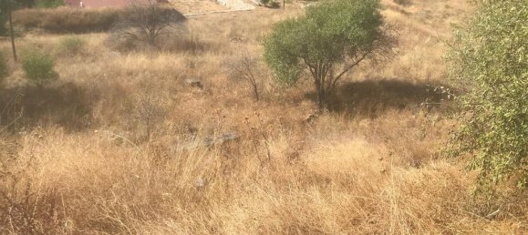  قطعة أرض في El Molar, Spain 13891متر مربع رقم 81886 11