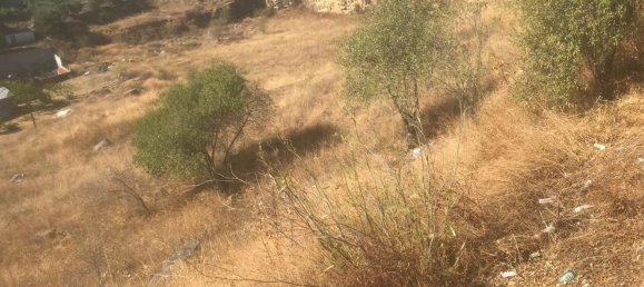  قطعة أرض في El Molar, Spain 13891متر مربع رقم 81886 7