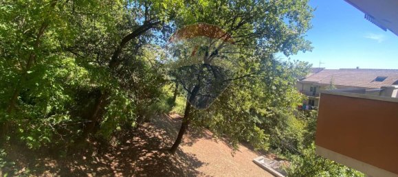 3 chambres Appartement à Chieti, Italy No. 325900 19