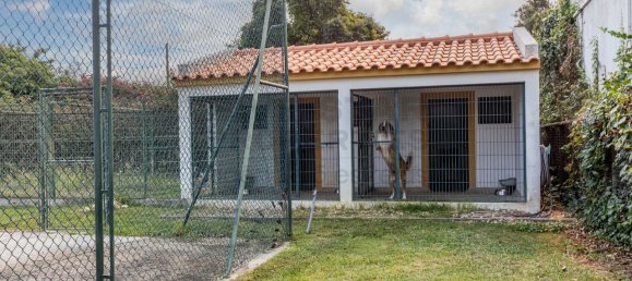 4 غرف نوم منزل في Benavente, Portugal رقم 134561 47