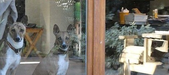 Villa T2 em Algolsheim, France N.º 78509 24