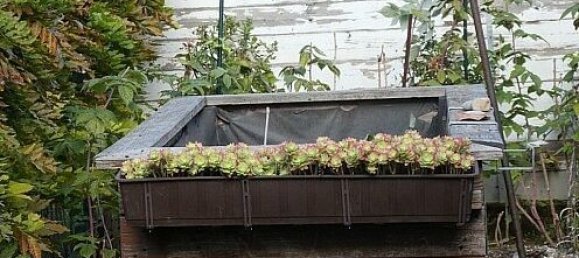 Villa T2 em Algolsheim, France N.º 78509 17