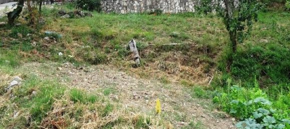 929m² Hotel in Kotor, Montenegro No. 95 2