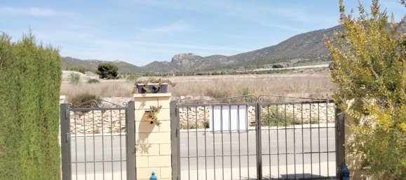 5 bedrooms House in La Romana, Spain No. 94586 17