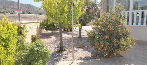 5 bedrooms House in La Romana, Spain No. 94586 6