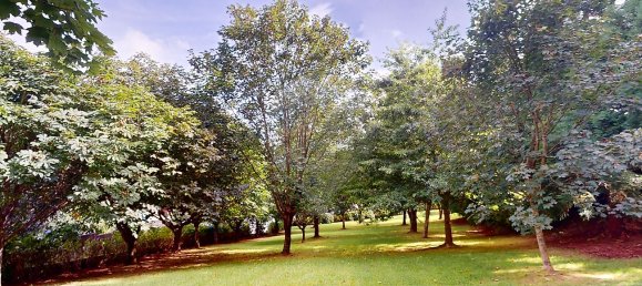 3 Schlafzimmer Haus in Povoacao, Portugal, Nr. 25887 22