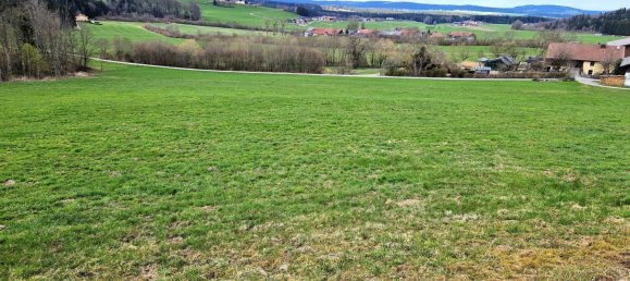 15411m² Land in Strasswalchen, Austria No. 164996 3
