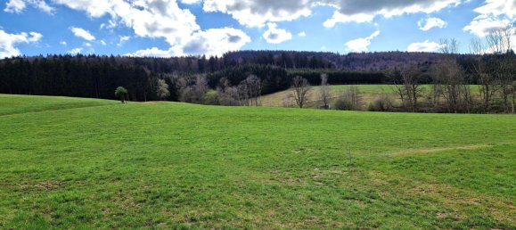 15411m² Land in Strasswalchen, Austria No. 164996 2
