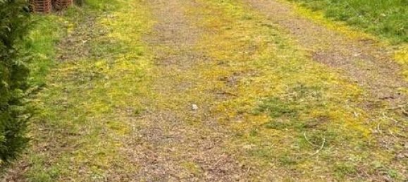  قطعة أرض في Saarbrucken, Germany رقم 28684 8