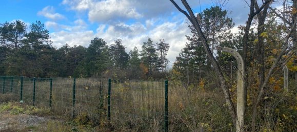 Земельный участок 5192м² в Вёллерсдорф-Штайнабрюкль, Австрия № 134136 4