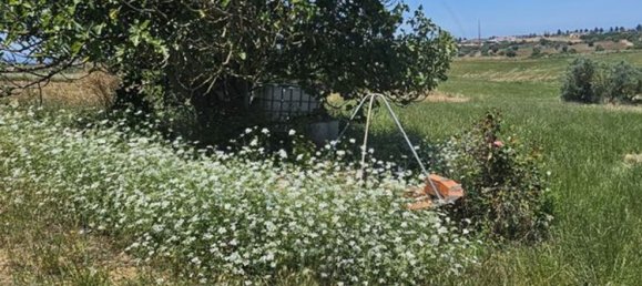 2 bedrooms House in Santarem, Portugal No. 24059 19