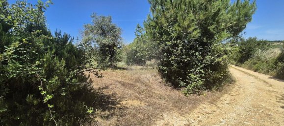 2 bedrooms House in Santarem, Portugal No. 24059 17