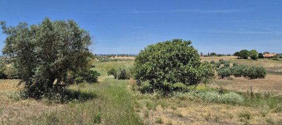 2 bedrooms House in Santarem, Portugal No. 24059 14