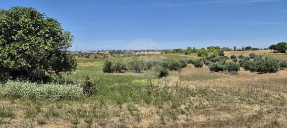 2 bedrooms House in Santarem, Portugal No. 24059 13