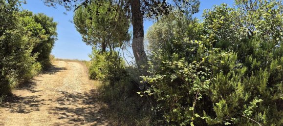 2 bedrooms House in Santarem, Portugal No. 24059 16