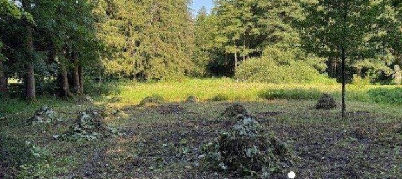  Land in Rossleithen, Austria No. 145878 3