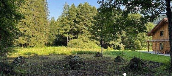  Land in Rossleithen, Austria No. 145878 4